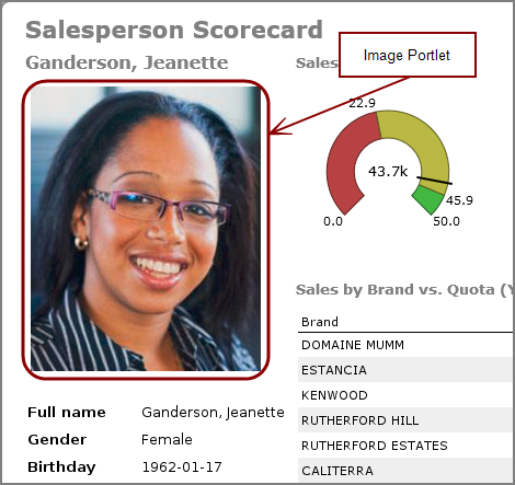 Example of an image portlet on a DivePort page.