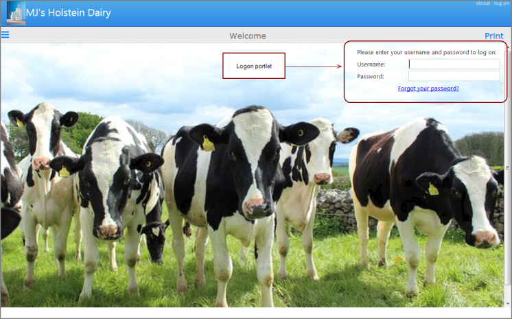 customized logon page.