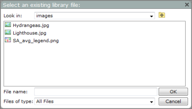 Select an existing library file dialog box.