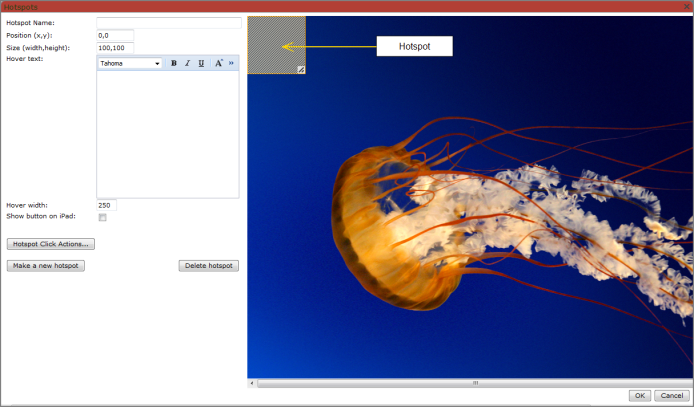 Example of the expanded hotspot dialog box and image.