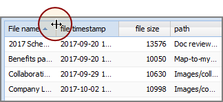 An example of a table editor portlet showing the right column boundary.
