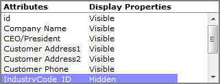 Attribute visibility option.