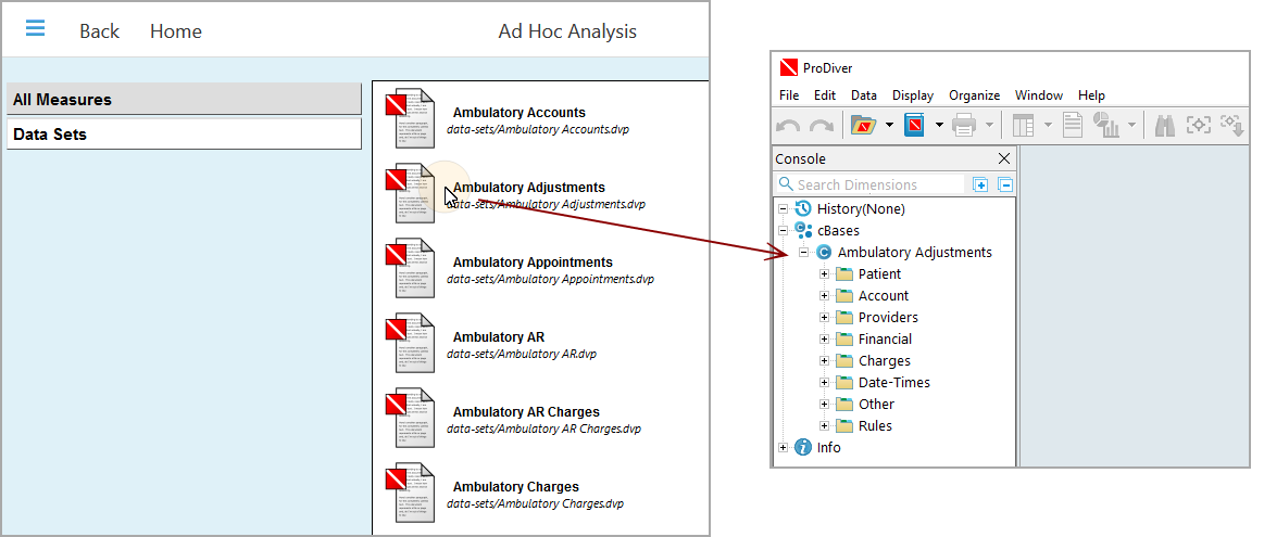 Accessing ProDiver from DivePort