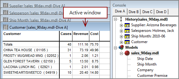 Example of ProDiver showing the active dive window.