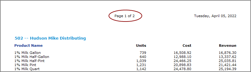 Report with example page number heading