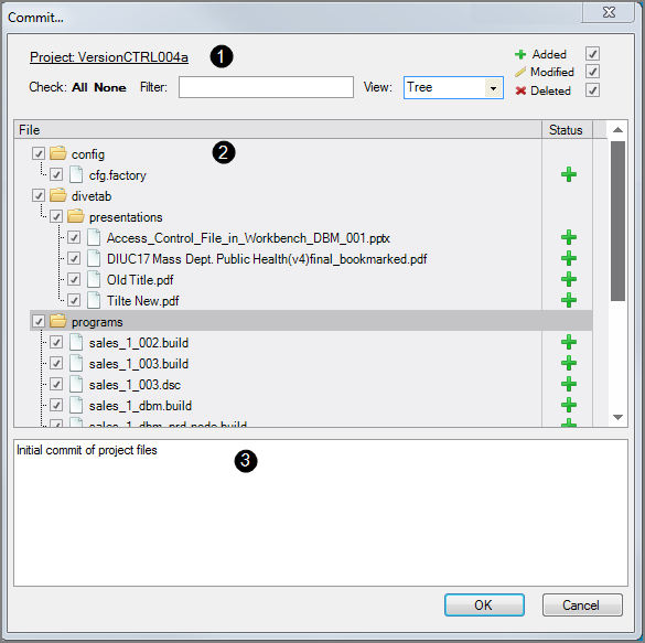 Initial Commit Dialog Box