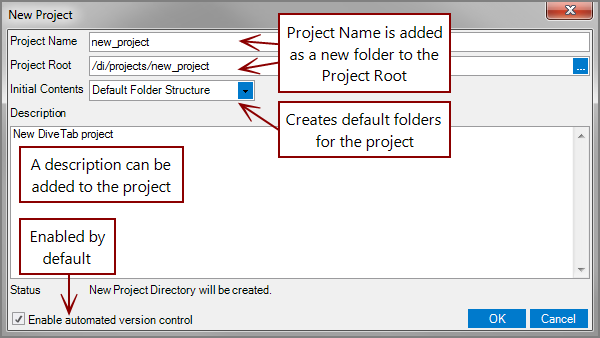 New Project dialog with information