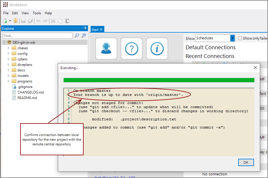 Check status of new project and local repository