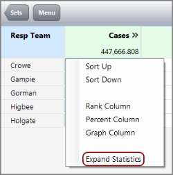 Example of a Report page with expand set column context menu