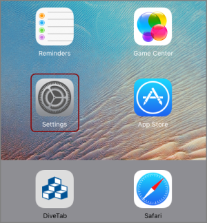 The Settings icon on the iPad menu.