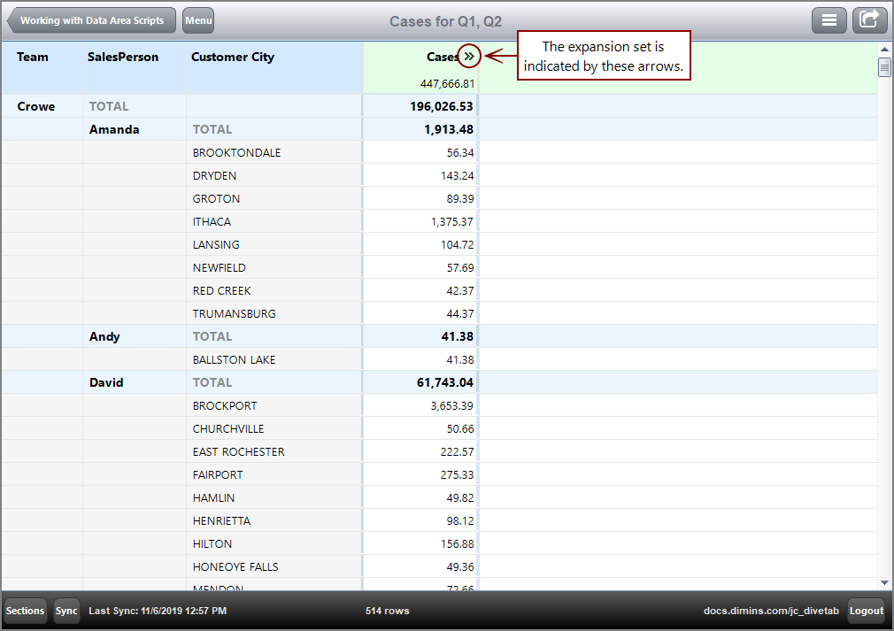 Report page initial view