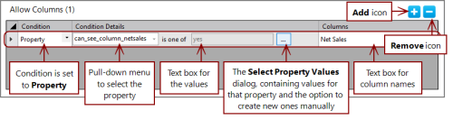 The details for the Allow Column with condition Property.