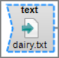text-input icon