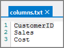 Columns in an External File