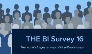 The BI Survey 16 snippet