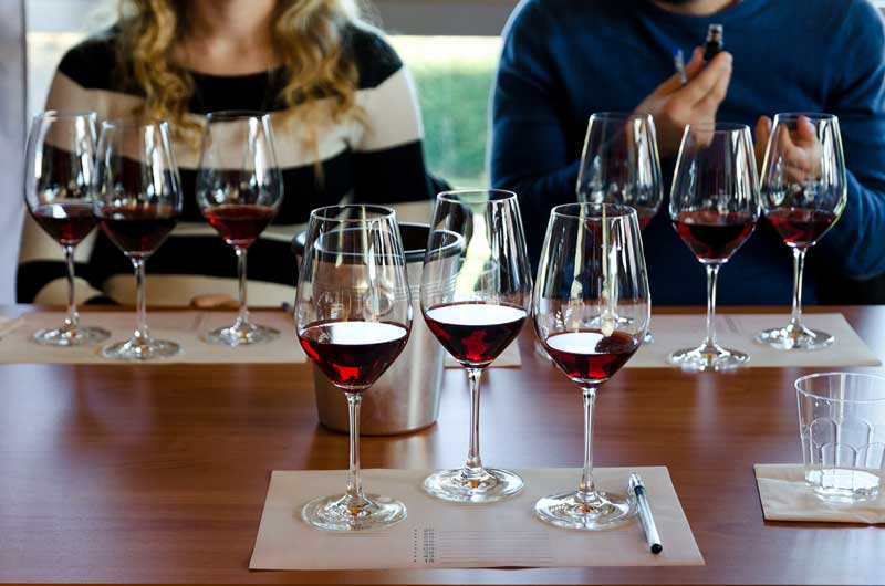 How Analytics Can Help Wineries Improve the Tasting Room Experience
