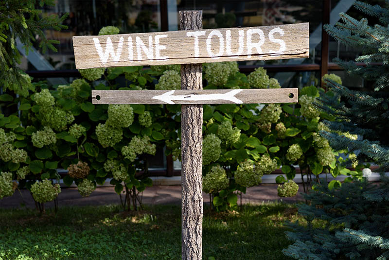 How Wineries Can Take Advantage of Enotourism