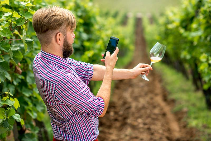 Under the Influence: Vineyards are Turning to Social Media Stars to Increase Sales