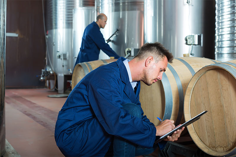 Before Collecting Grapes, Winemakers Are Collecting Data
