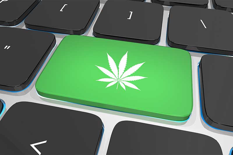 Ecommerce and the Future of the Cannabis Industry