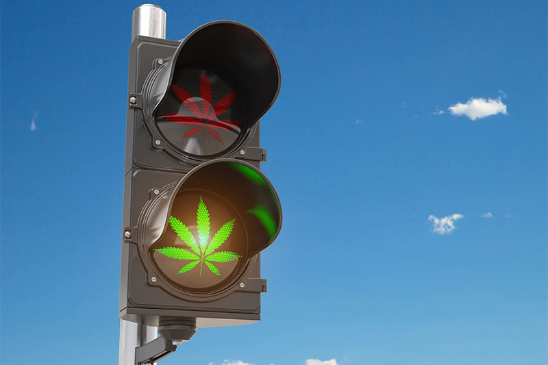 The Benefits of Cannabis Legalization