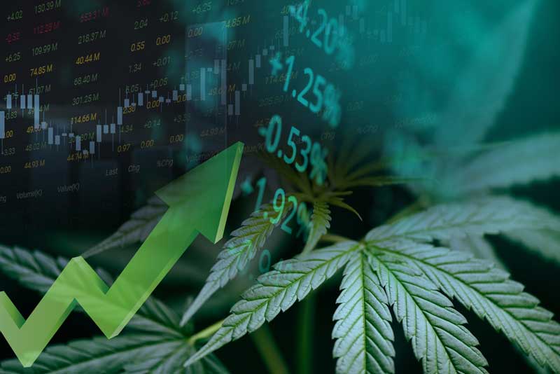 5 Cannabis Industry Trends You Have to Watch in 2023