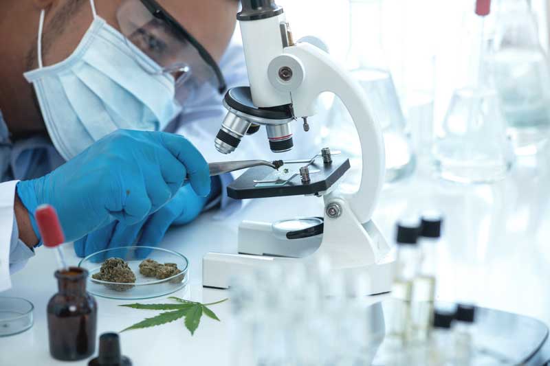 Cannabis Testing: A Trove of Data