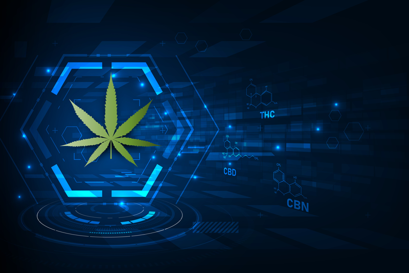 Tracking Trends in the Cannabis Industry