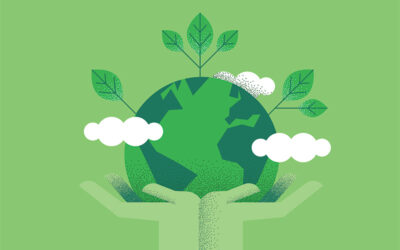 Using Data in Corporate Sustainability Initiatives