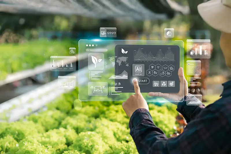 What AI on the Farm Teaches Us About Data-Driven Decision Making